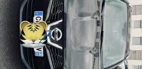 Nissan QASHQAI 2013
