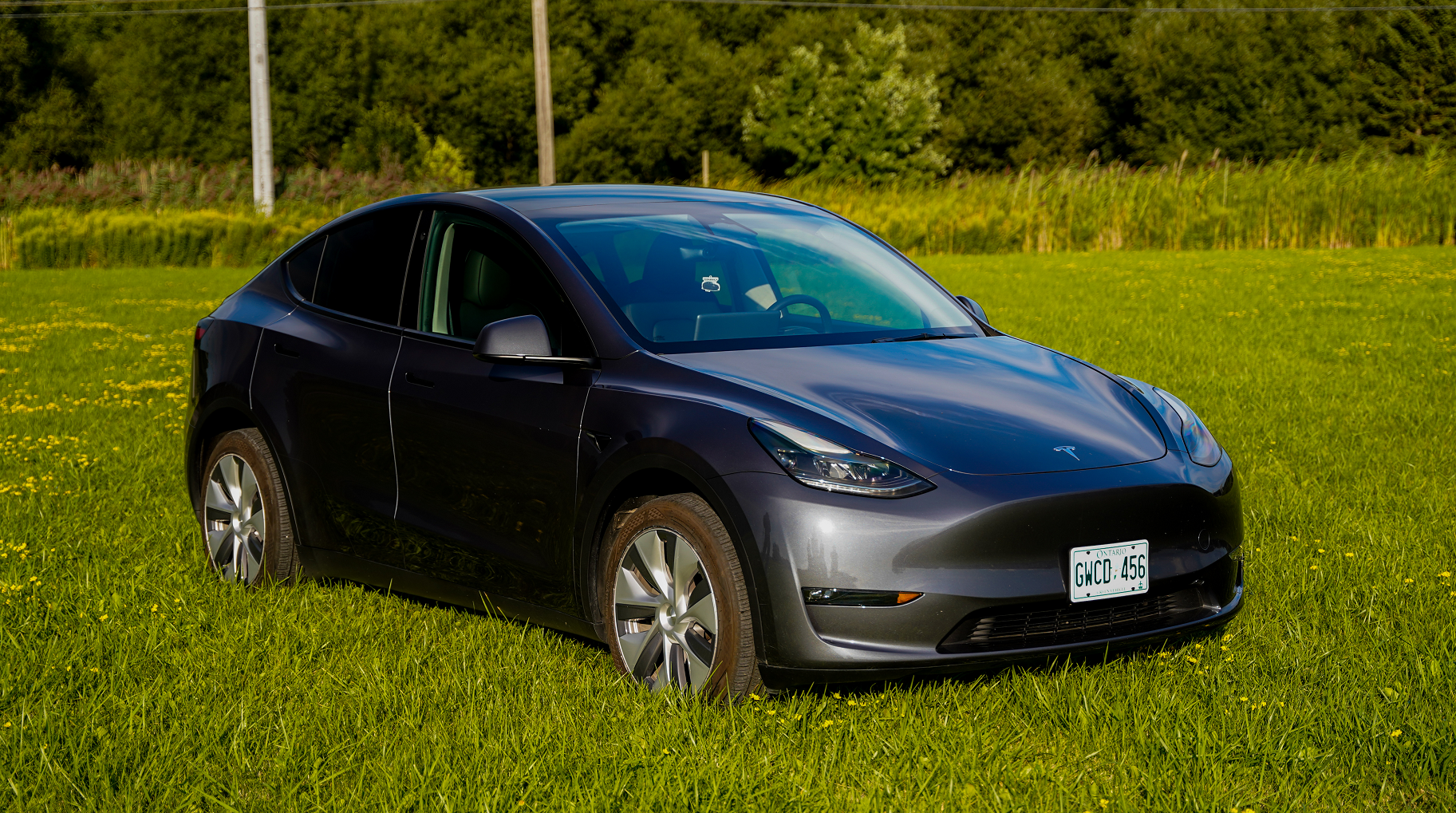Tesla Model Y 2023 à Markham, ON