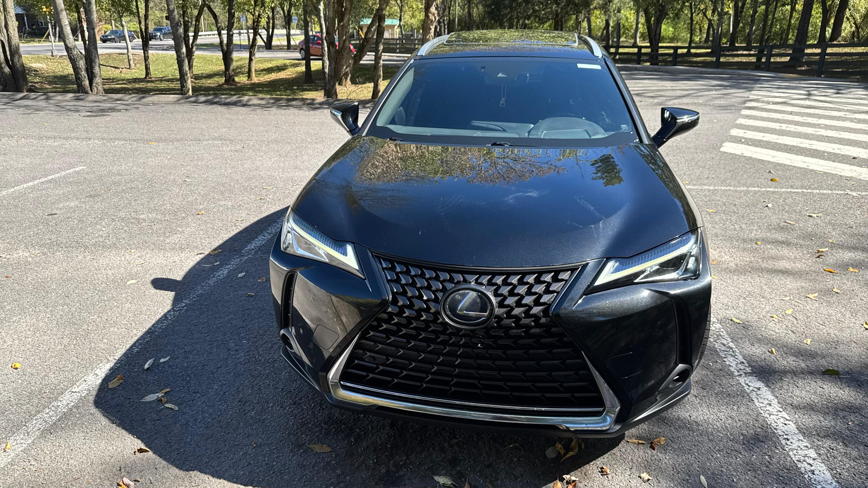 Lexus UX 2019 in Nashville, TN