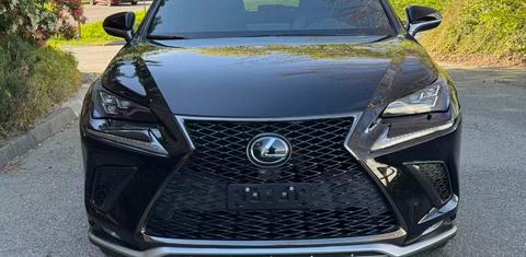 Lexus NX 2020