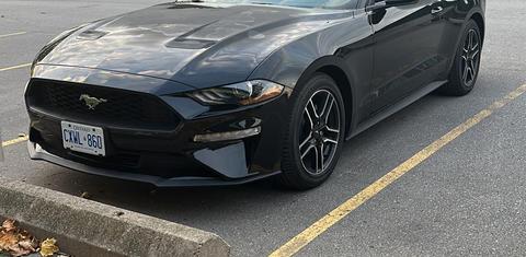 Ford Mustang 2022