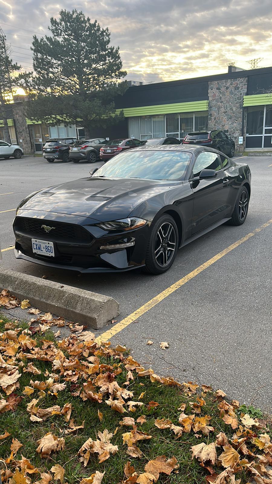 Ford Mustang 2022 à 