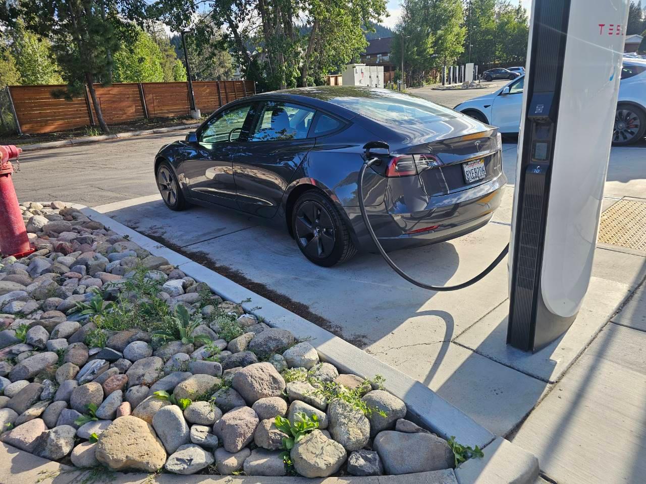 Tesla Model 3 2021 in Reno, NV