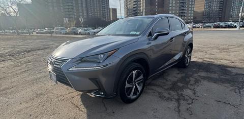 Lexus NX 2020