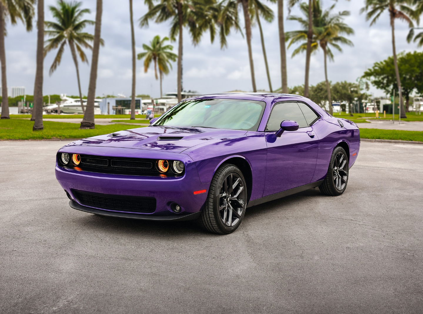 Dodge Challenger 2019 rental in Miami, FL by MY CAR RENT | Turo