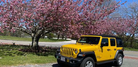 Jeep Wrangler Unlimited 2021