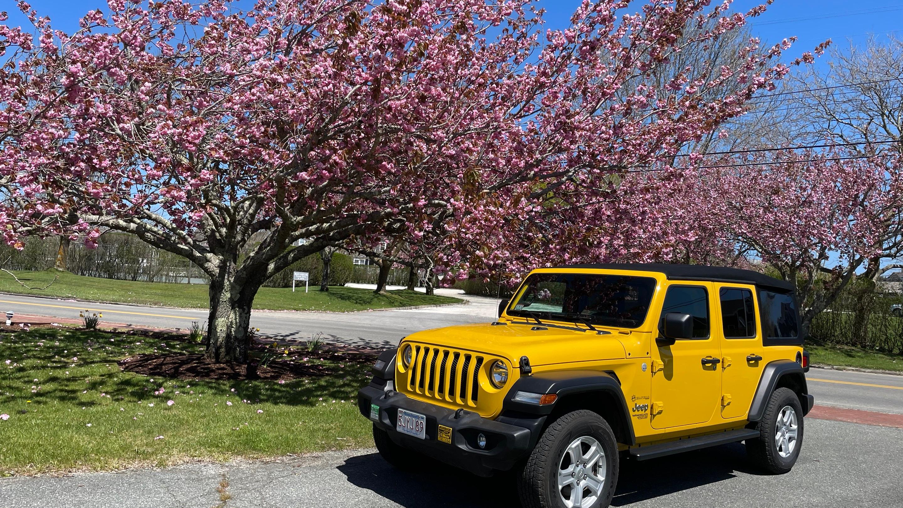 Jeep Wrangler Unlimited 2021 in Nantucket, MA