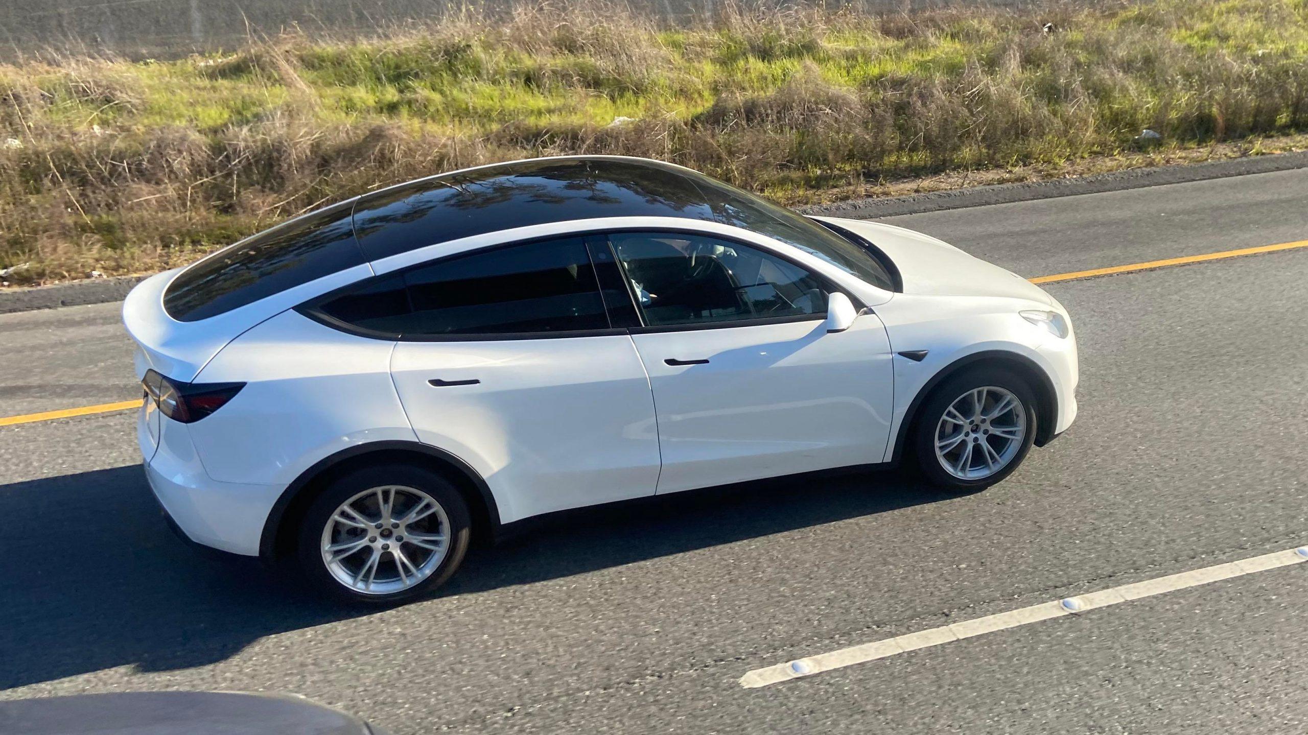 Tesla Model Y 2023 in Frisco, TX