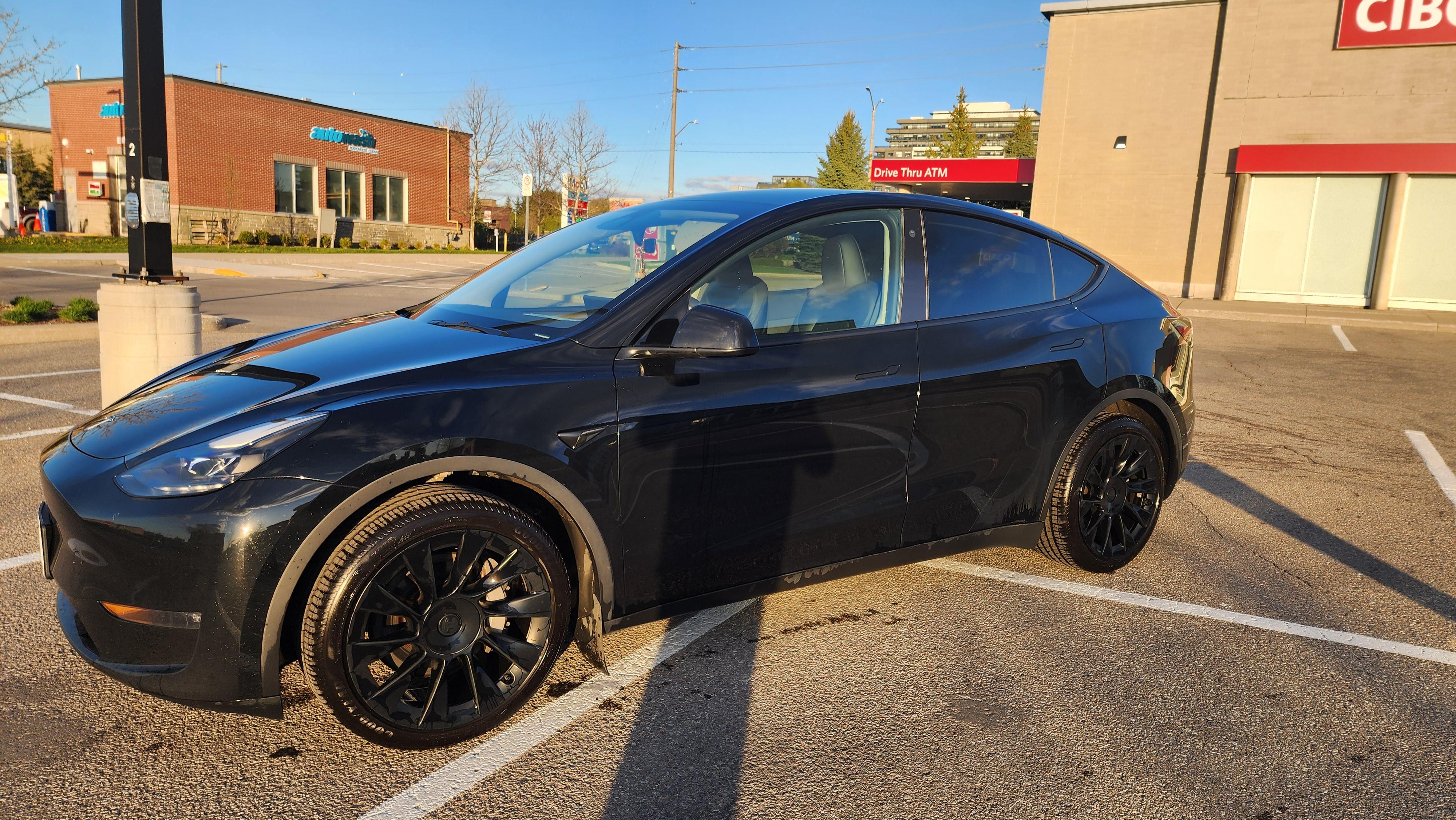 Tesla Model Y 2023 à Guelph, ON