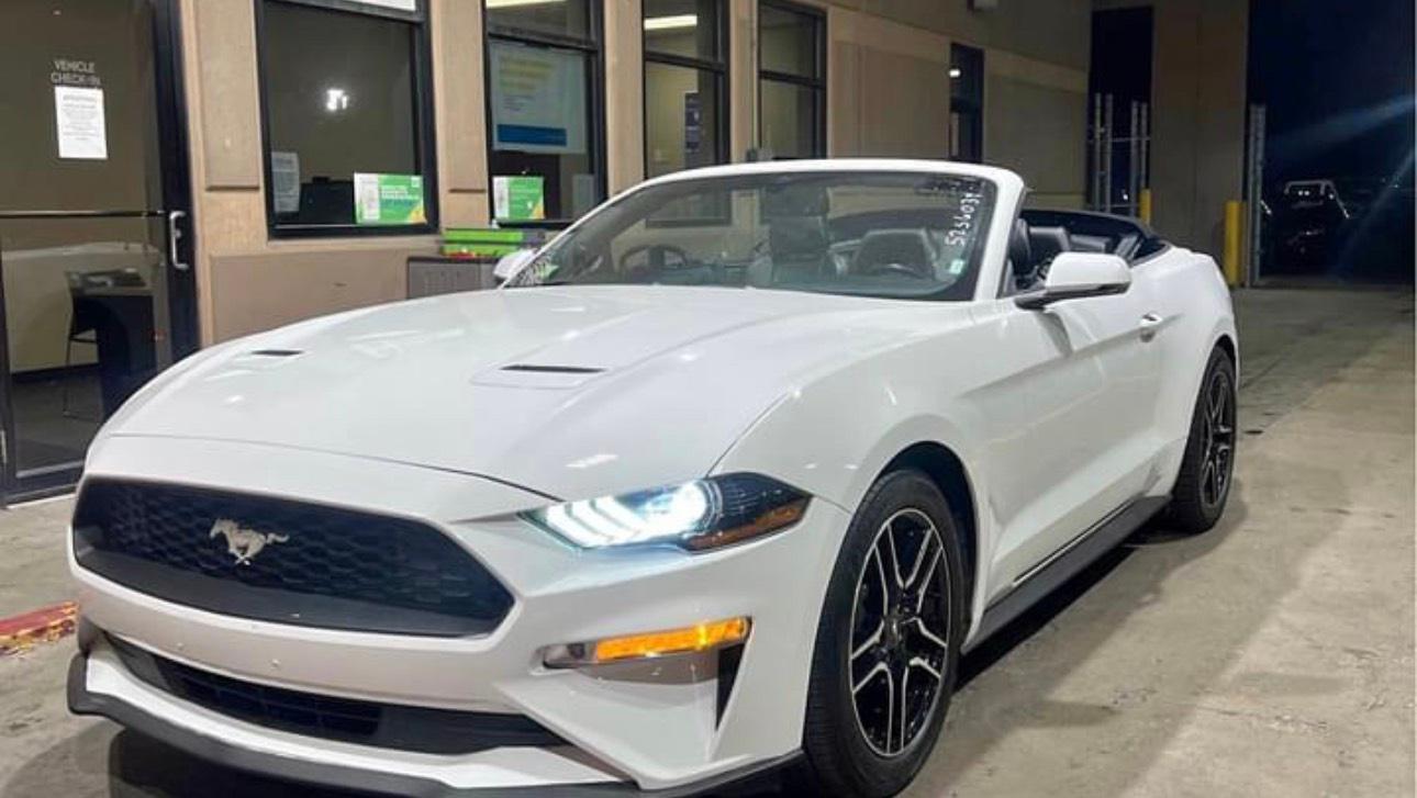 Ford Mustang 2019 in 