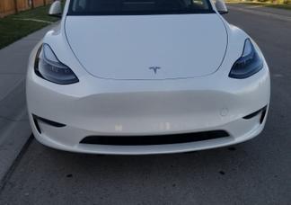 Catégorie de véhicule : Tesla Model Y