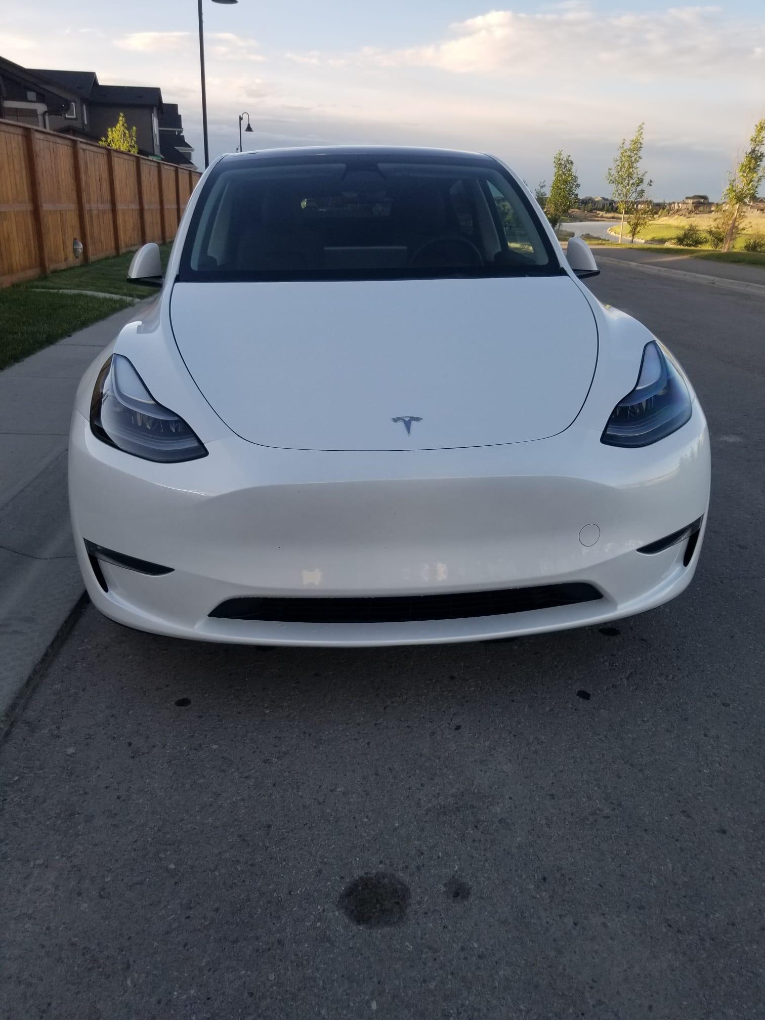Tesla Model Y 2023 à 