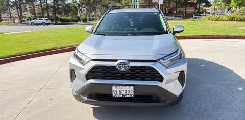 Toyota RAV4 Hybrid 2024