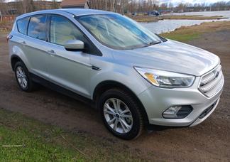 Ford Escape car