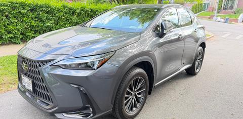 Lexus NX 2024
