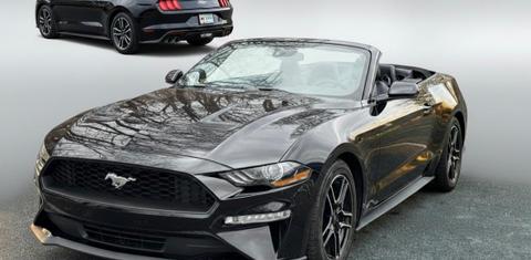 Ford Mustang 2019