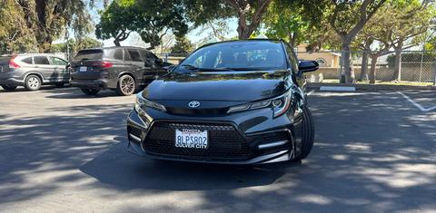 Toyota Corolla 2020