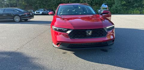 Honda Accord 2023
