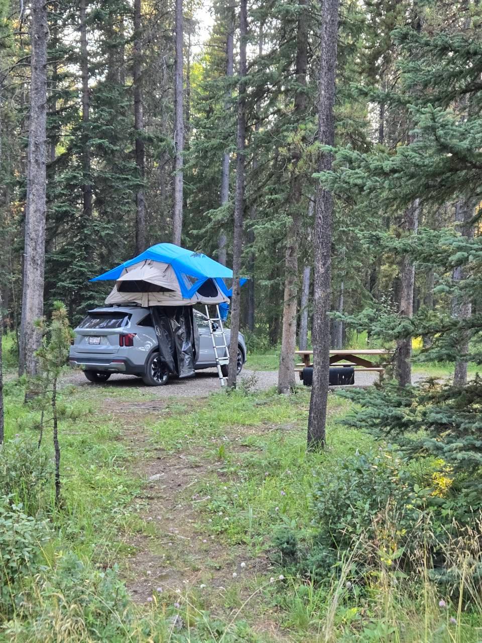 Kia Sorento 2024 in Calgary, AB