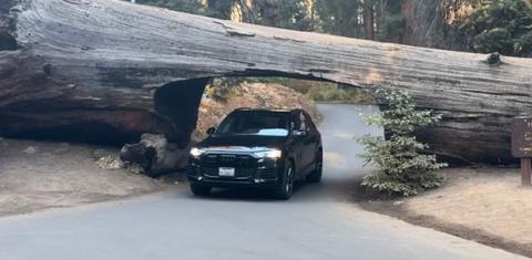 Audi Q7 2020