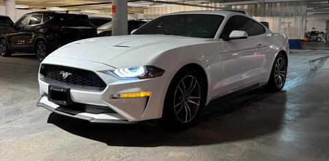 Ford Mustang 2019