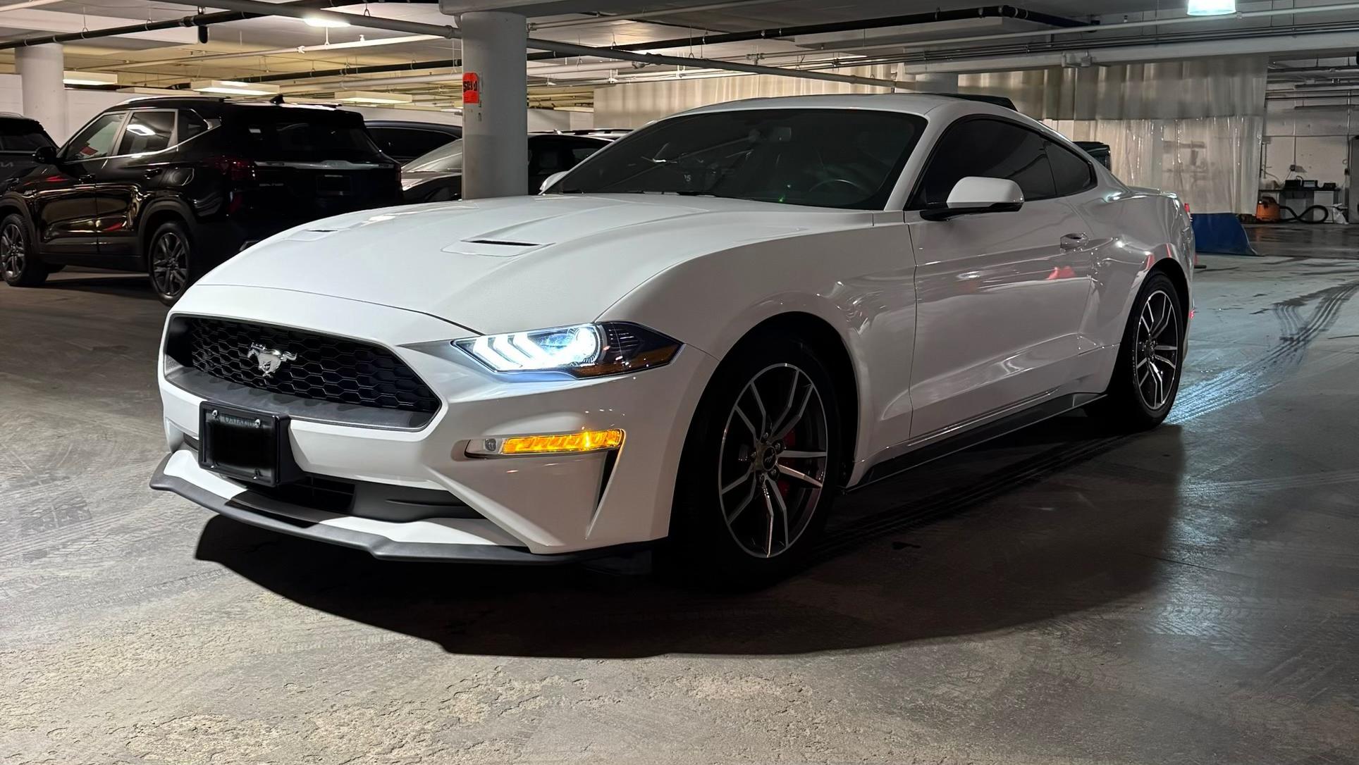 Ford Mustang 2019 à 