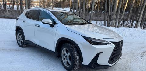 Lexus NX 2024