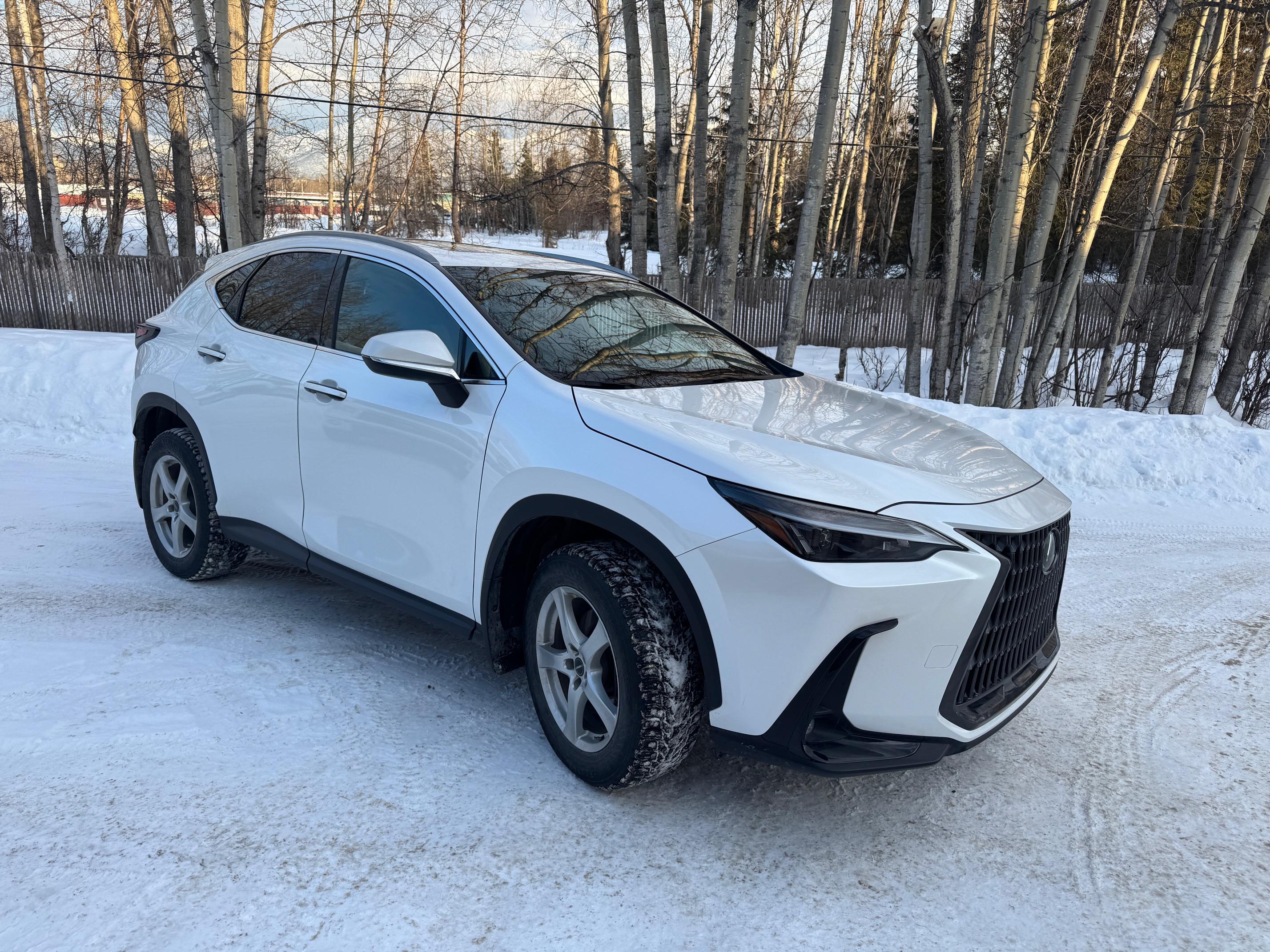 Lexus NX 2024 in Anchorage, AK