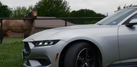 Ford Mustang 2024