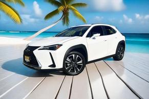 Lexus UX 2023 in Jersey City