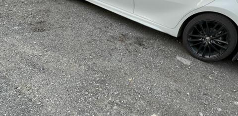 Toyota Camry Hybrid 2024