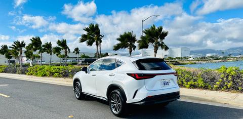 Lexus NX 2024