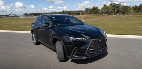 Lexus NX 2022