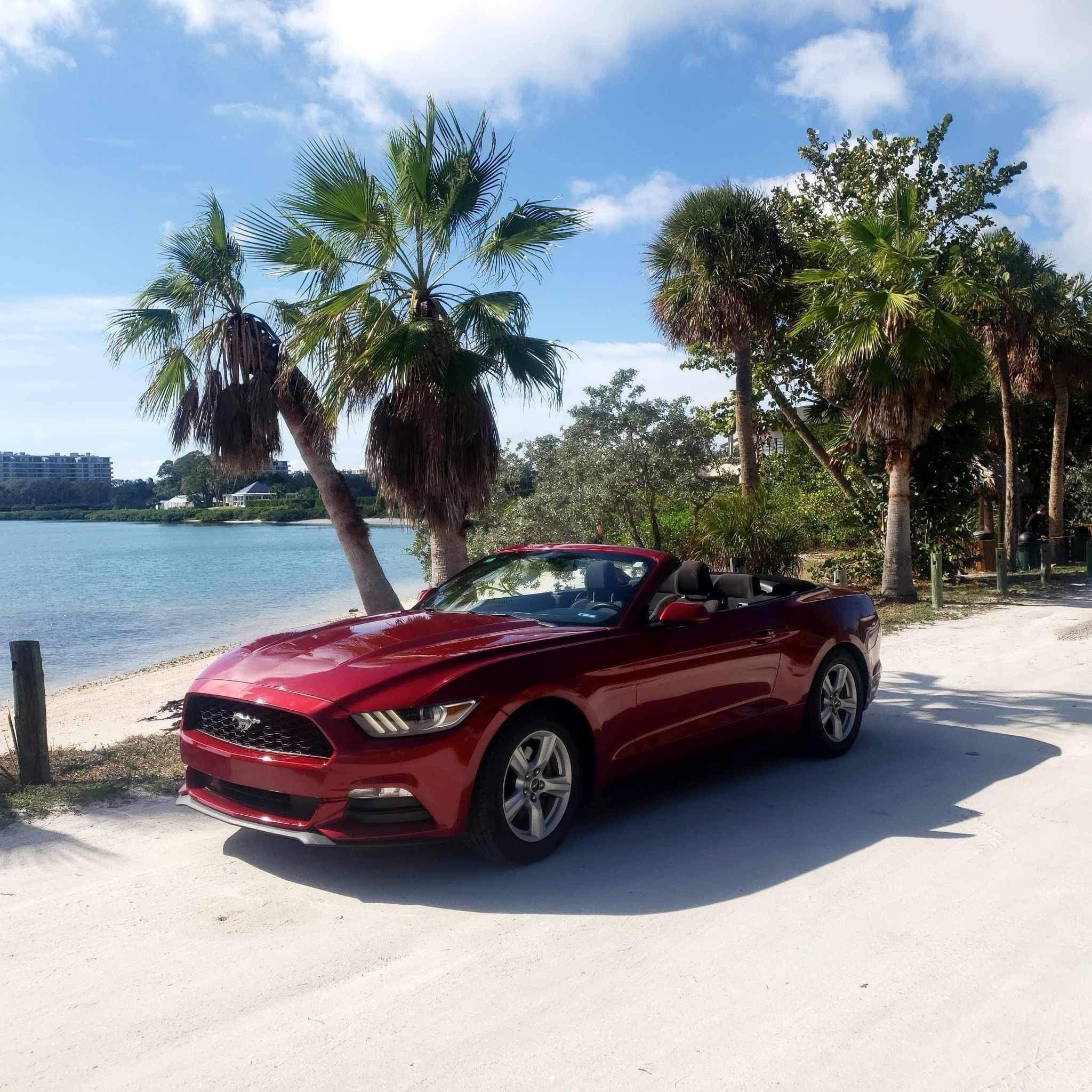Ford Mustang 2017 in Tampa, FL
