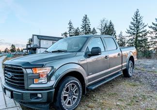 Catégorie de véhicule : Ford F-150