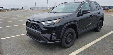 Toyota RAV4 2024