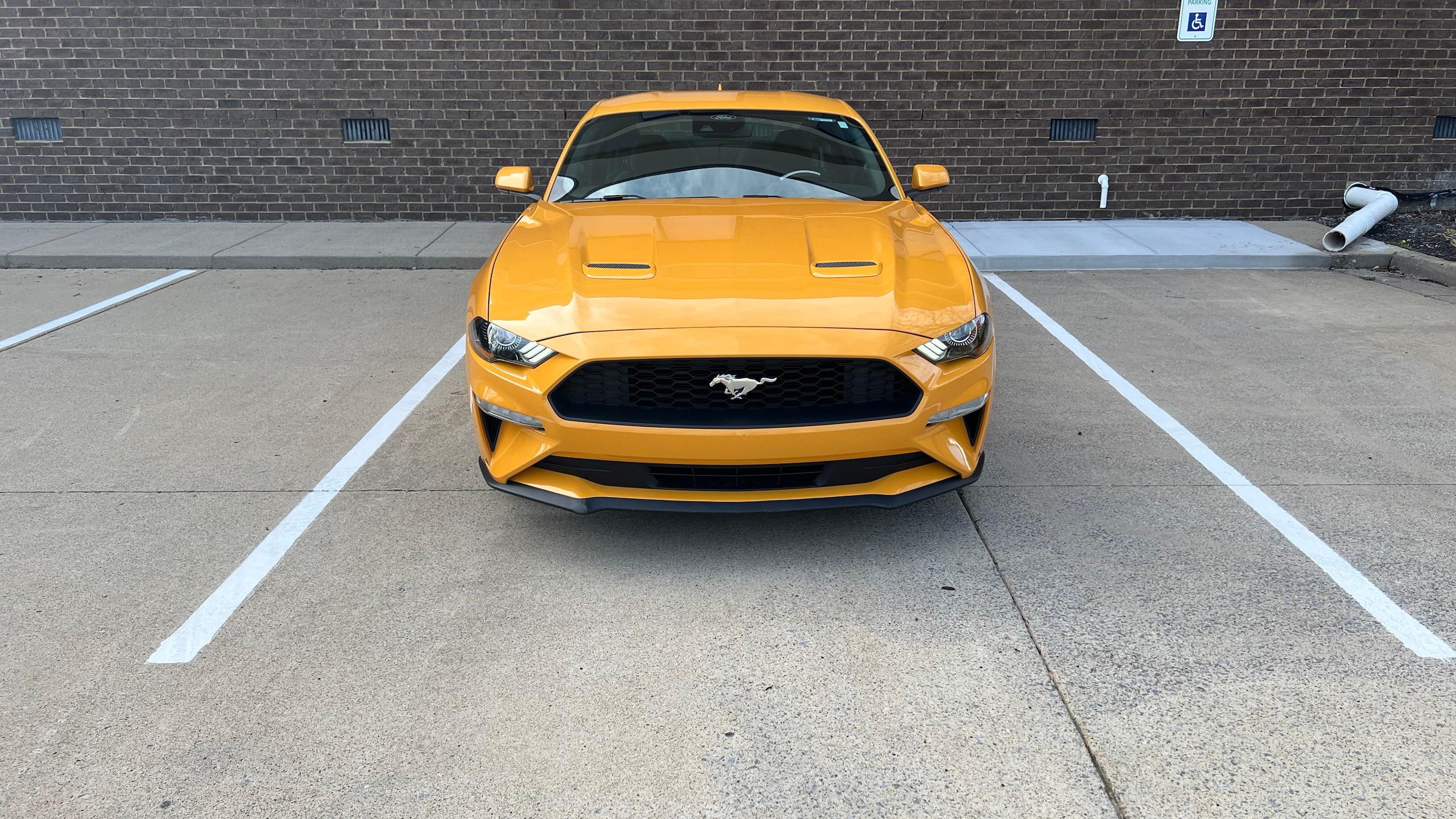 Ford Mustang 2022 in Murfreesboro, TN