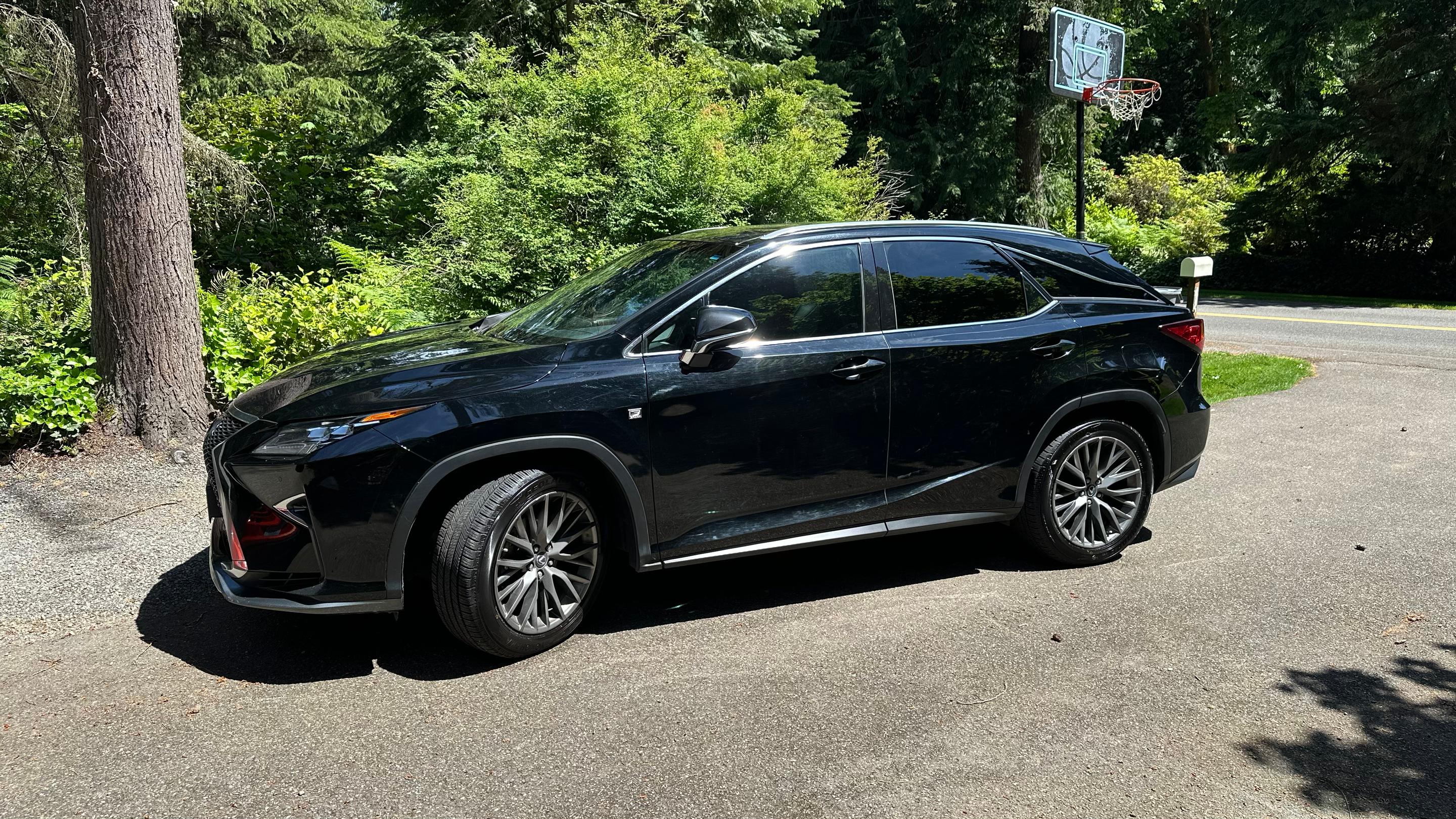 Lexus RX 2019 in 