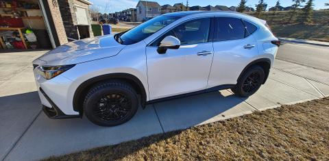 Lexus NX 2024