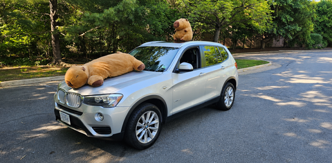 BMW X3 2017