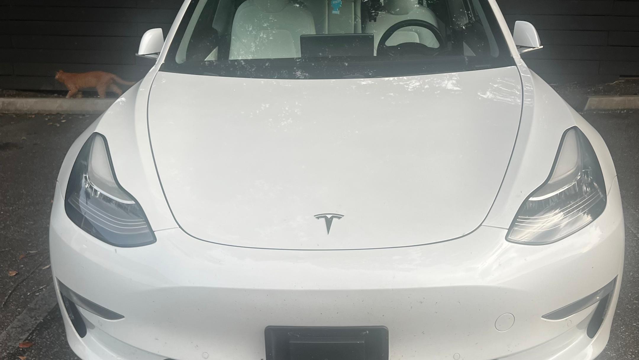 Tesla Model 3 2020 in Mobile, AL
