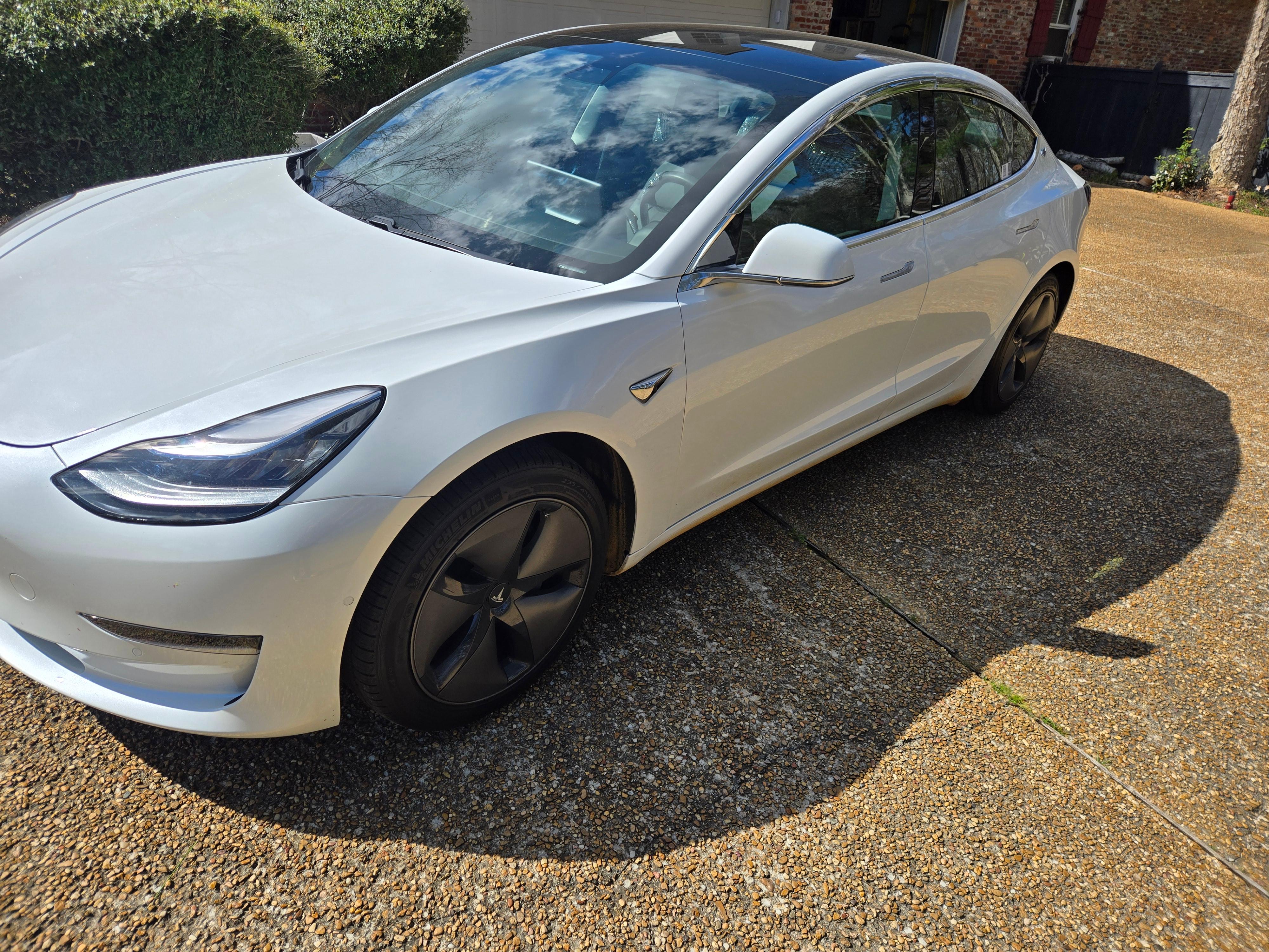 Tesla Model 3 2019 in Madison, MS