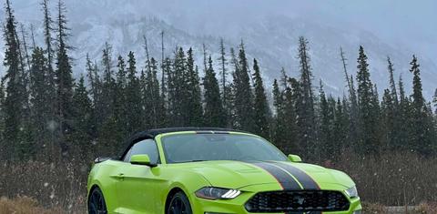 Ford Mustang 2020