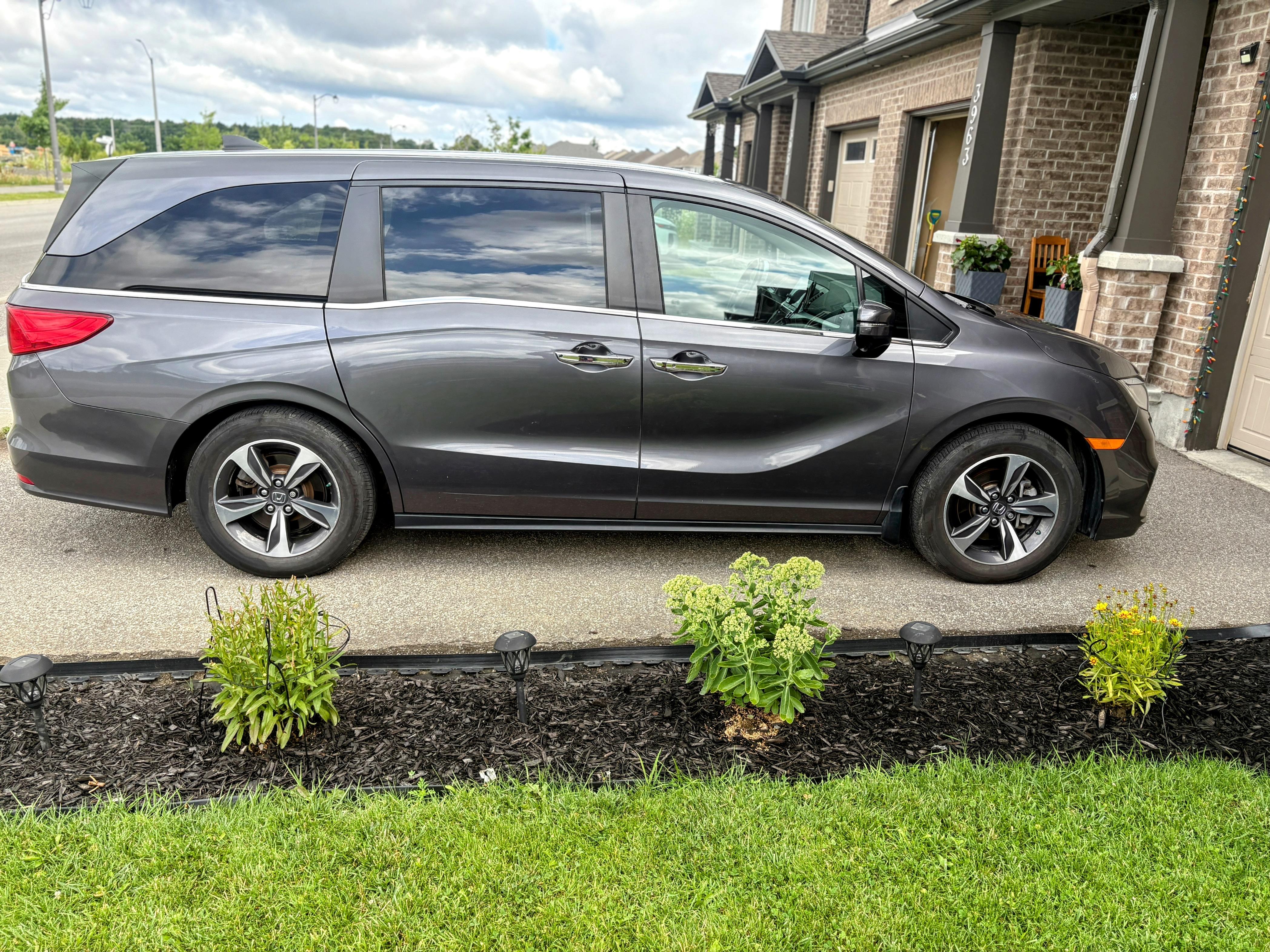 Honda Odyssey 2019 à 