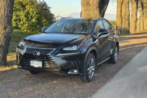 Catégorie de véhicule : Lexus NX