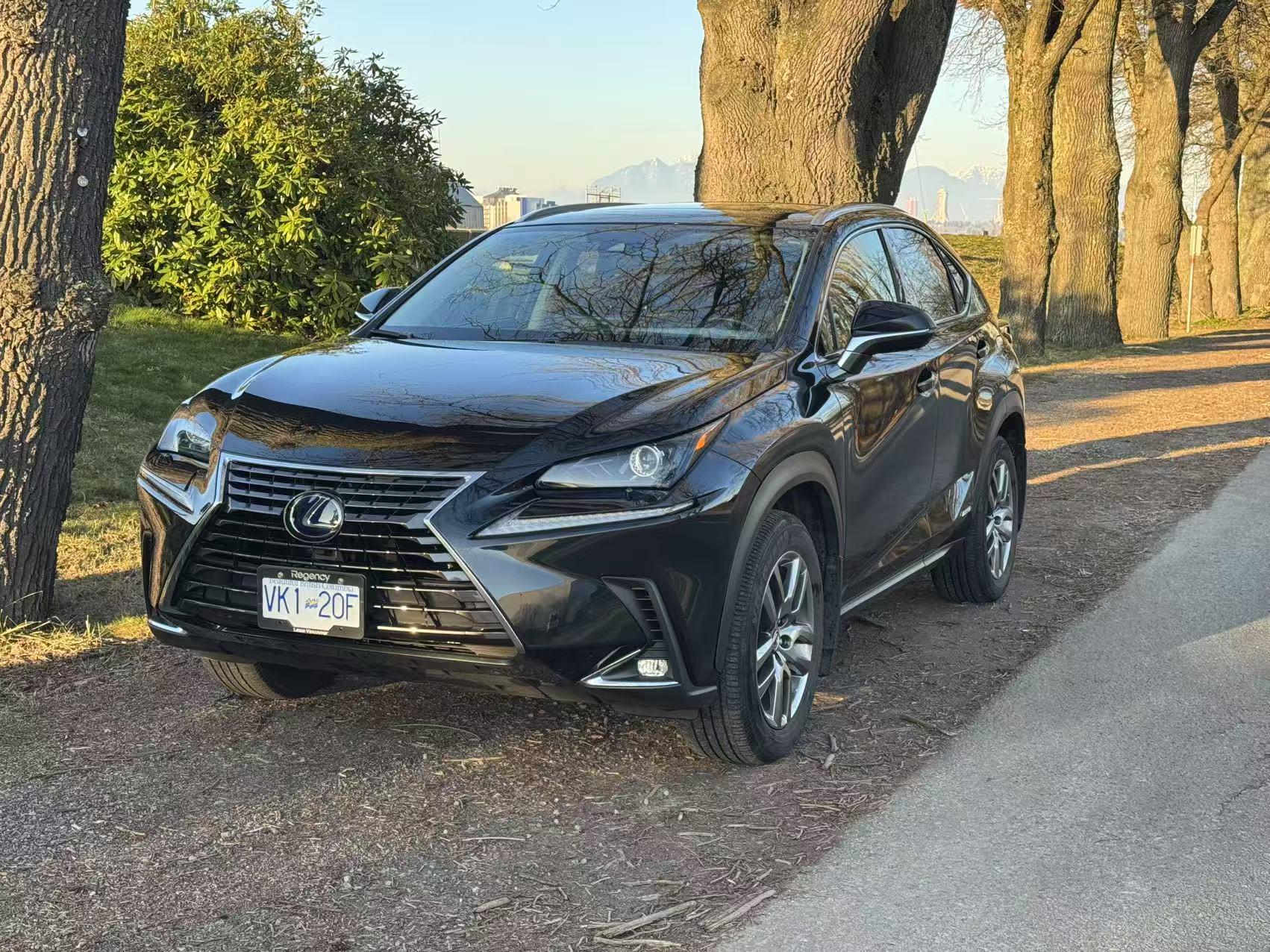 Lexus NX 2020 in Richmond, BC