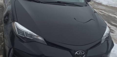 Toyota Corolla 2019