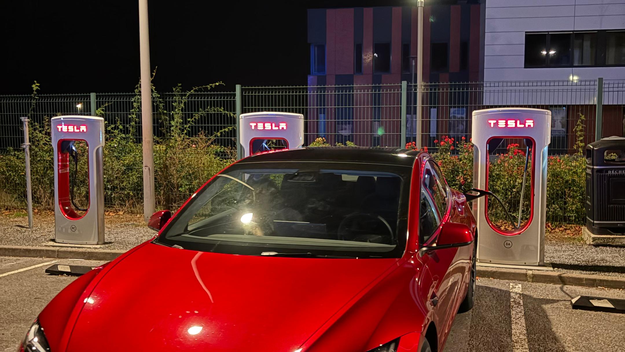 Tesla MODEL 3 2024 à Saint-Paul-lès-Dax