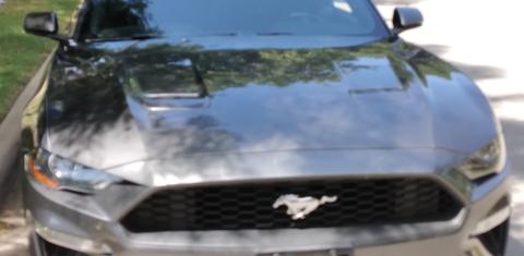 Ford Mustang 2019
