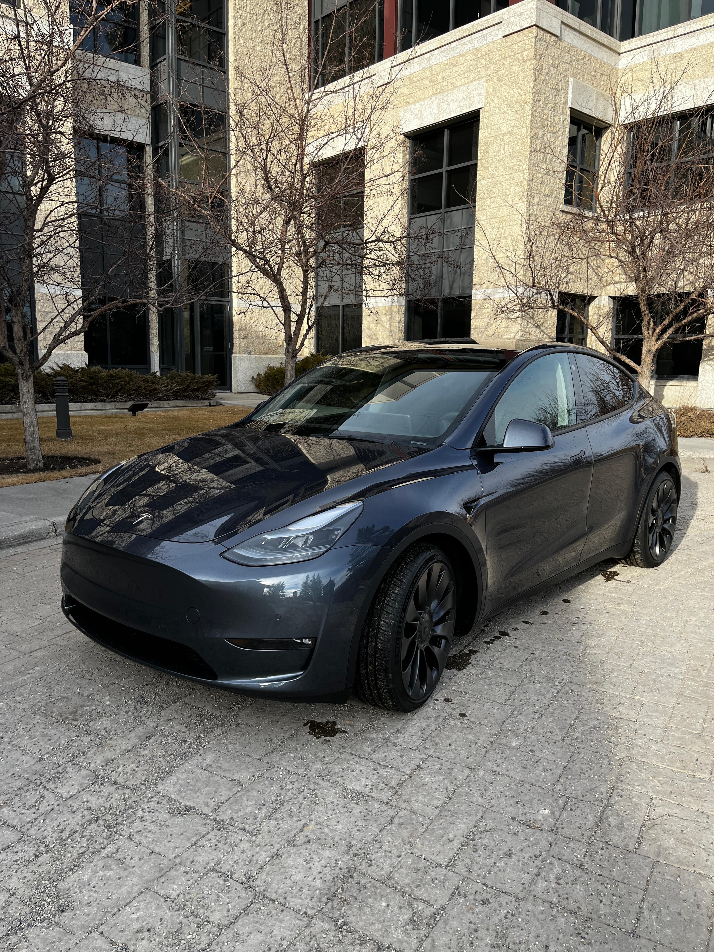 Tesla Model Y 2022 à Calgary, AB